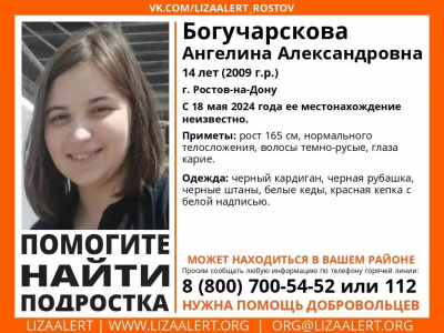 Ростовская полиция ищет без вести пропавшую два дня назад школьницу